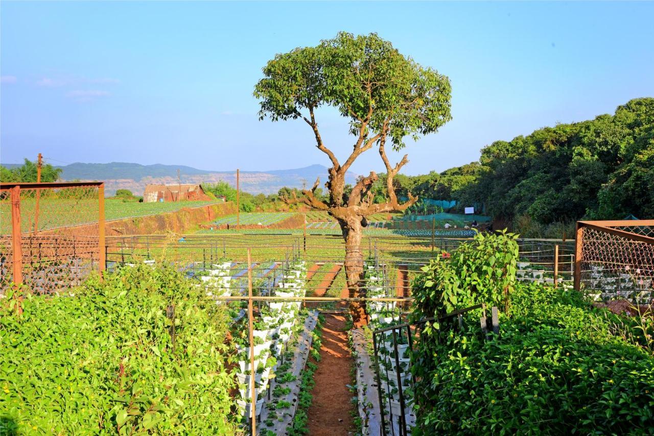Hrishikesh Villa, Besides Valley Mahābaleshwar Екстериор снимка